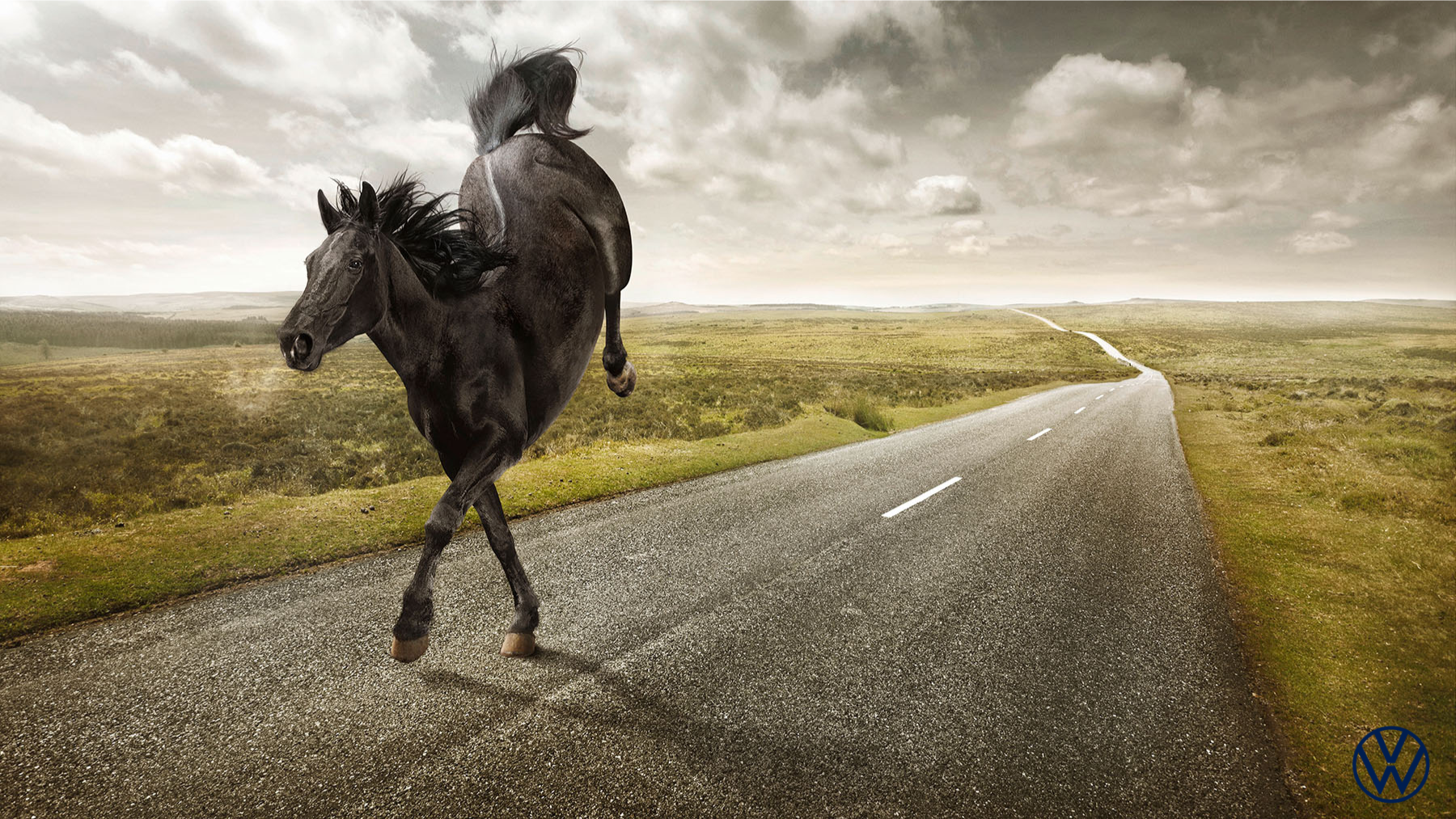 Campagne